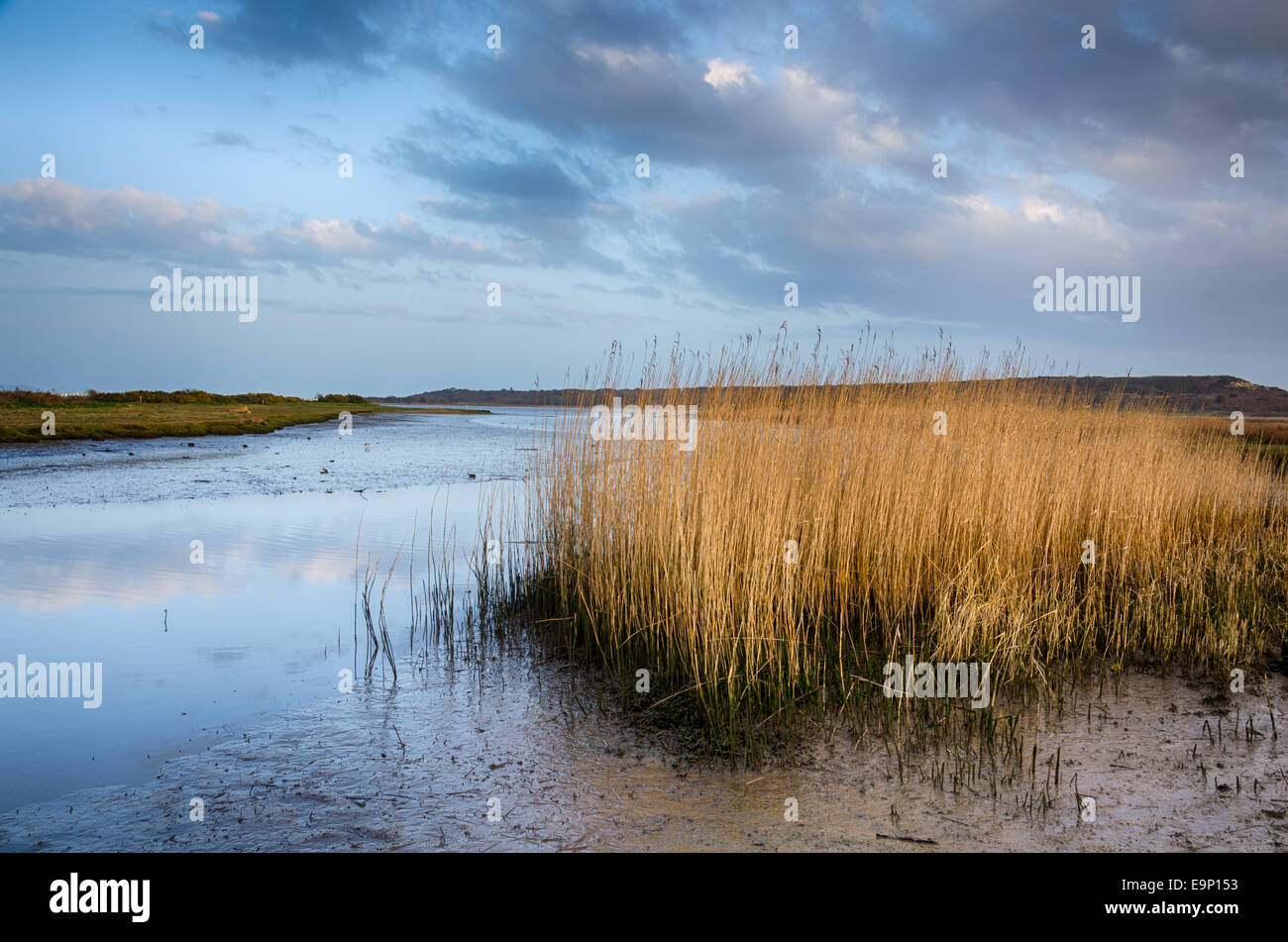 Dusk at Stanpit Marsh in Christchurch, looking out toward Hengistbury Head Stock Photo