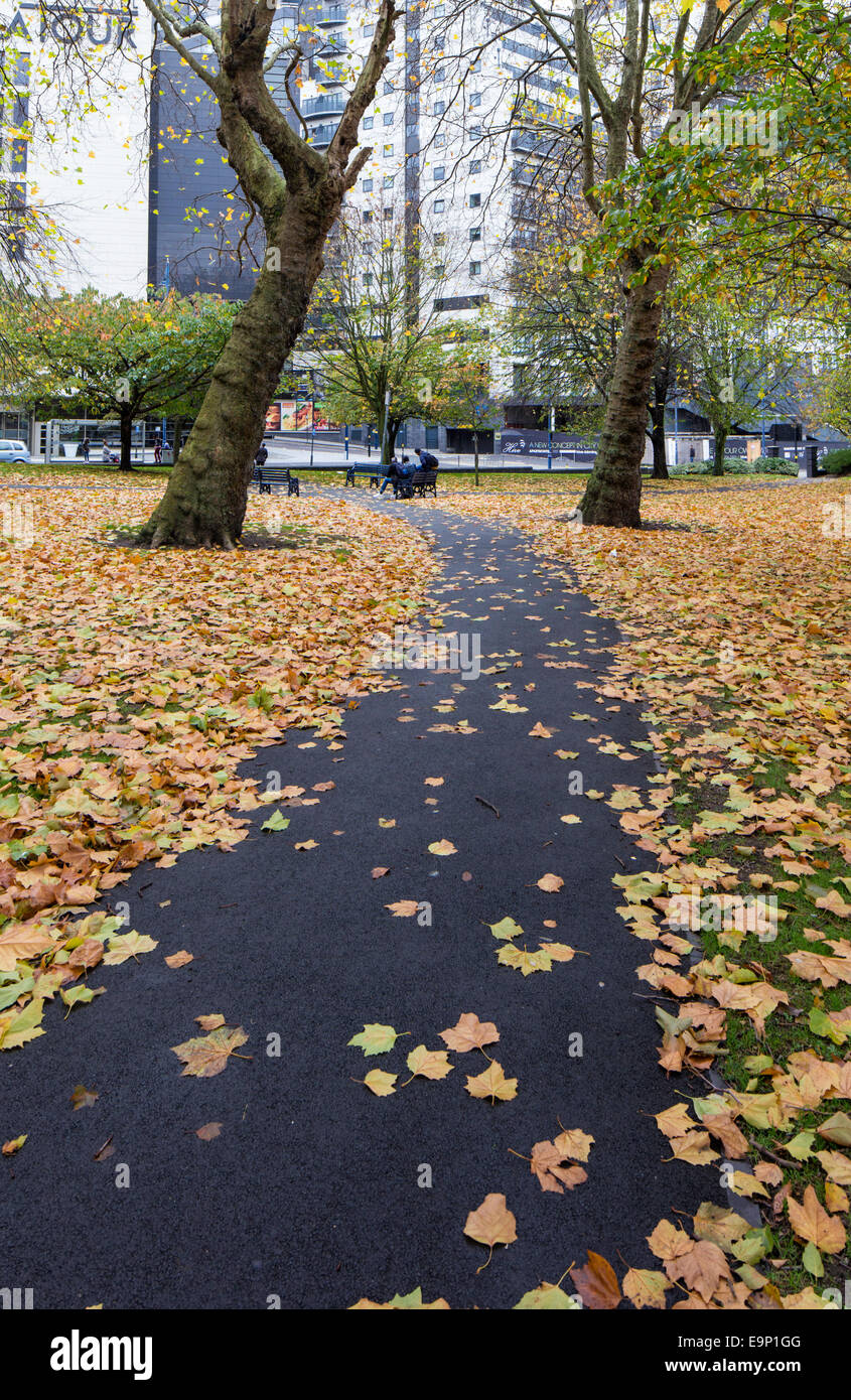 Autumn leaves in a Birmingham park, England, UK Stock Photo