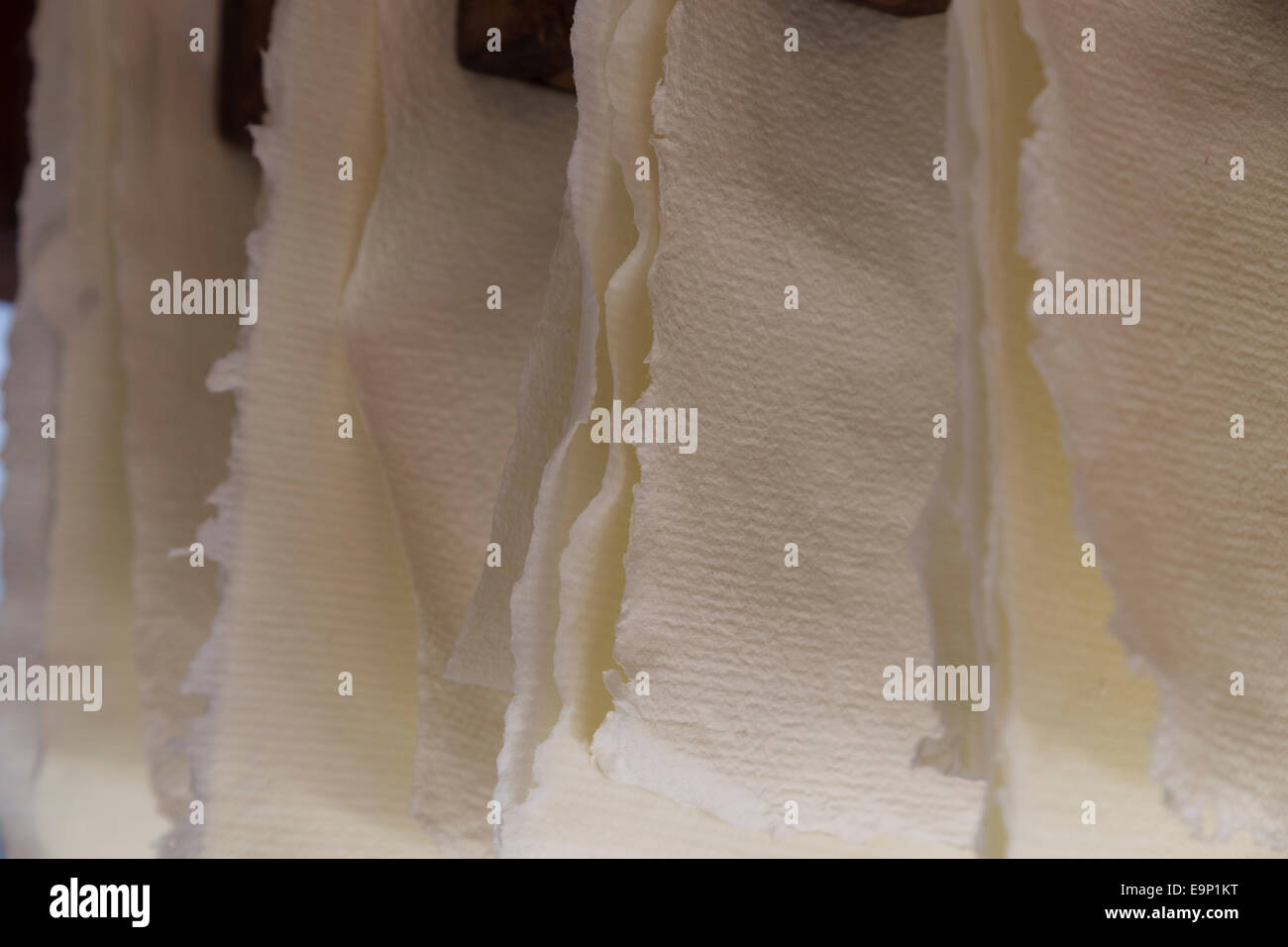 Cotton paper handmade ancient technique Stock Photo Alamy