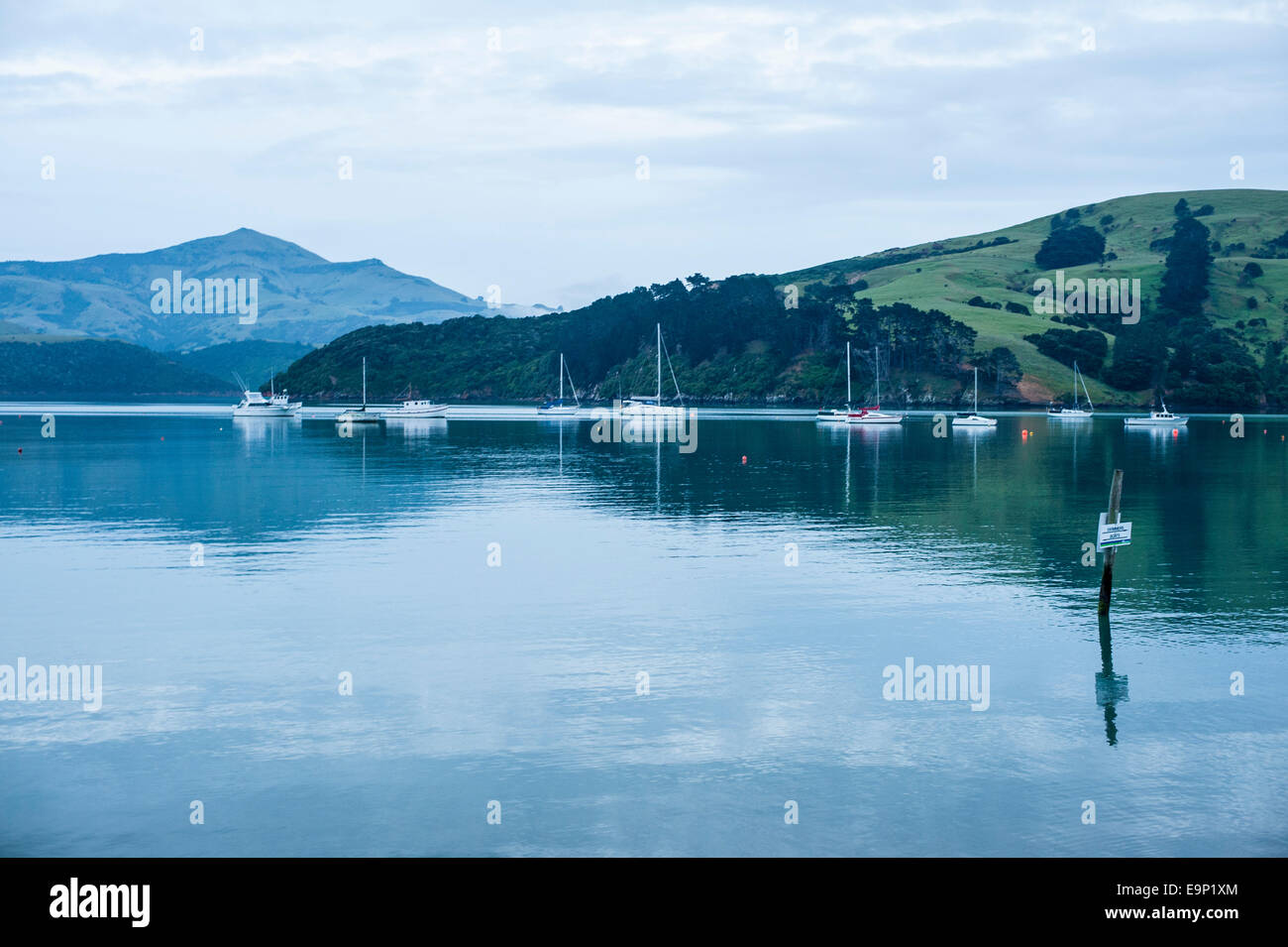 Akaroa harbour, New Zealand Stock Photo Alamy