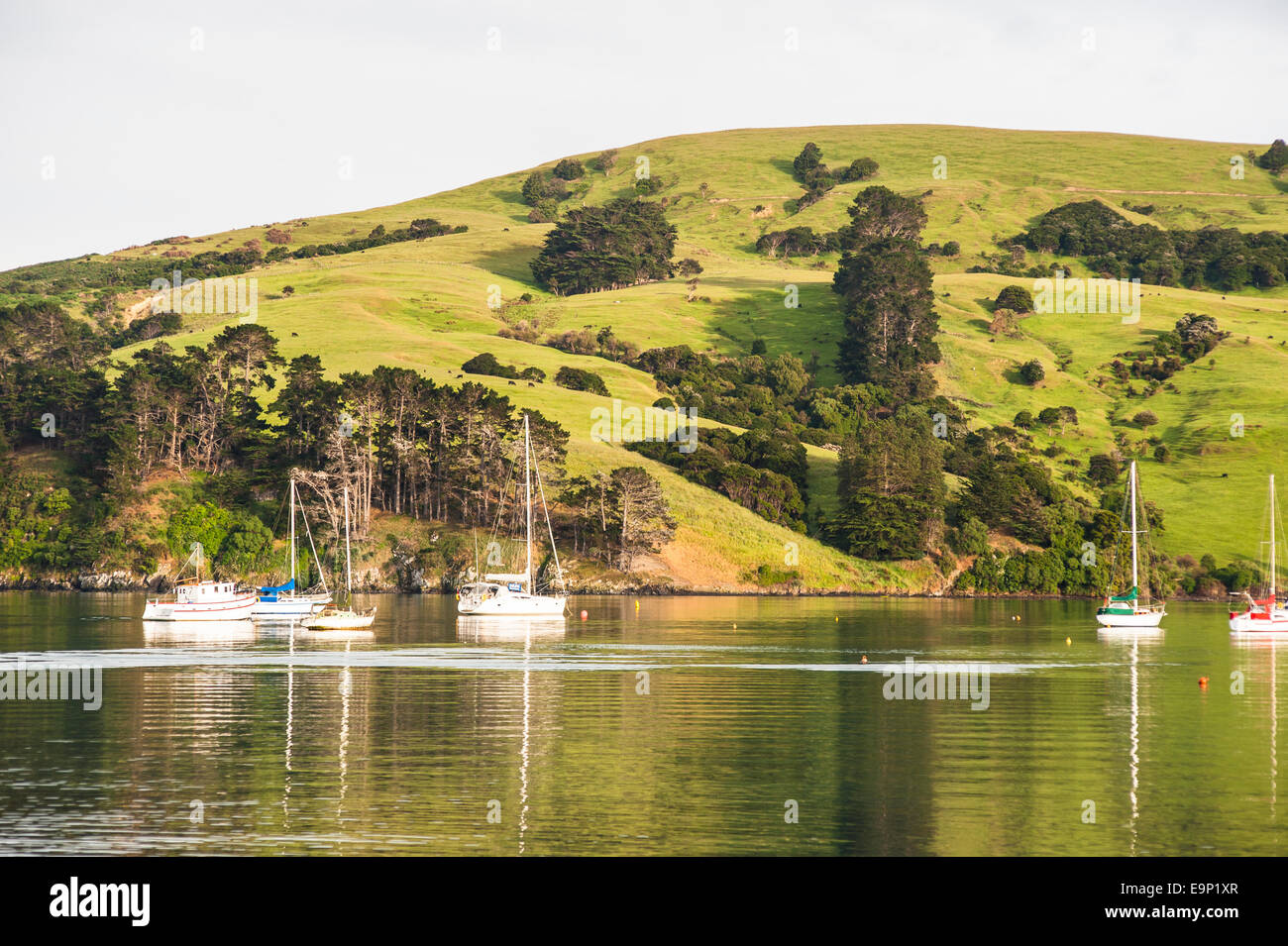 Akaroa harbour, New Zealand Stock Photo Alamy