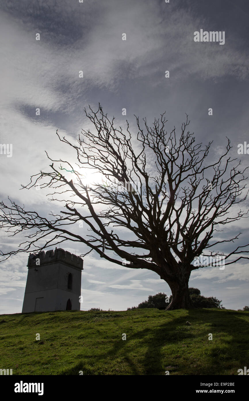 Dead tree and tower on hillside, England, UK Stock Photo - Alamy
