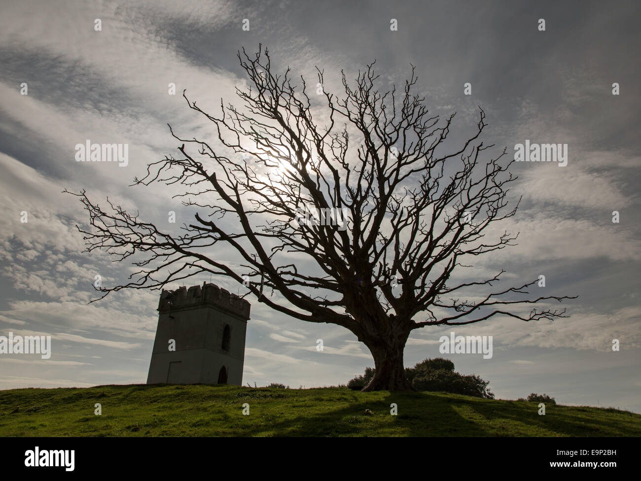 Dead tree and tower on hillside, England, UK Stock Photo - Alamy