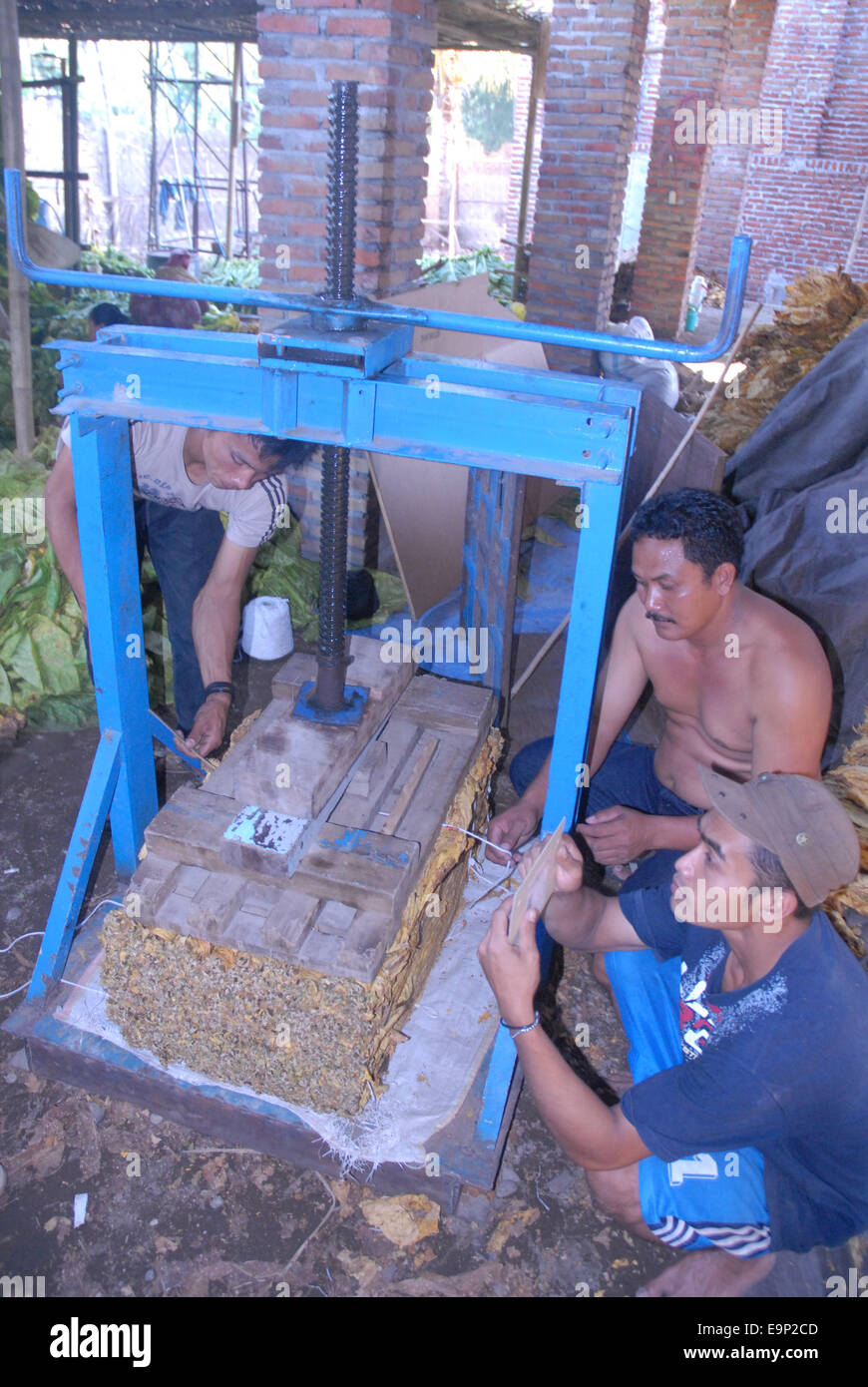 men with old wooden pressing machine for tobacco leaves in Lombok,  Indonesia Stock Photo
