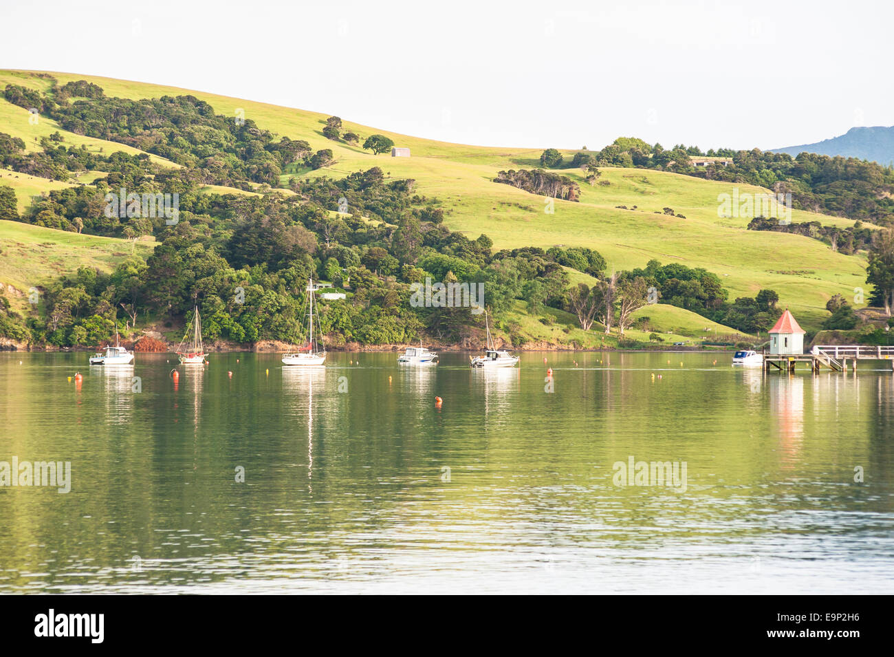 Akaroa harbour, New Zealand Stock Photo Alamy