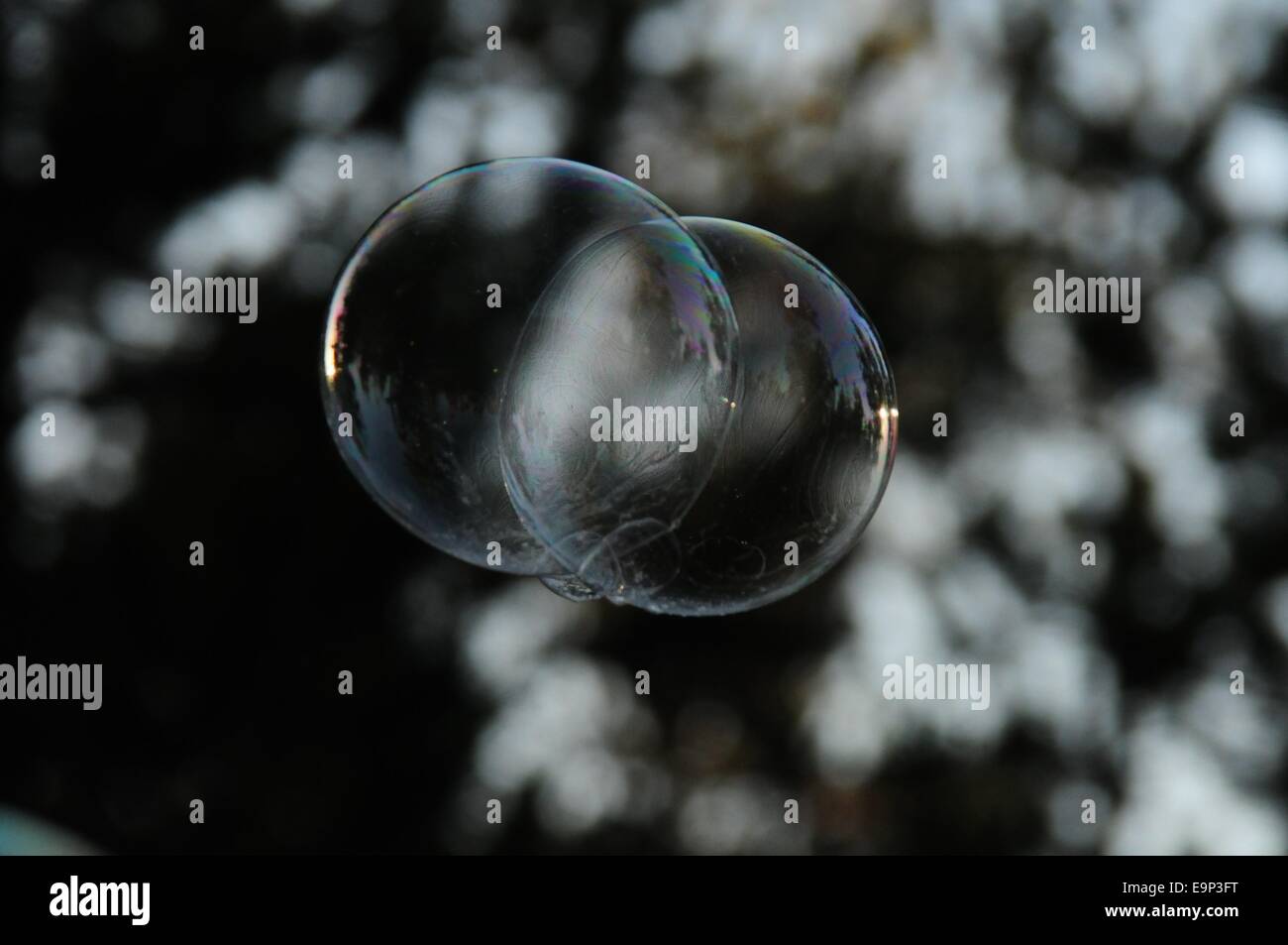 double bubble double bubble