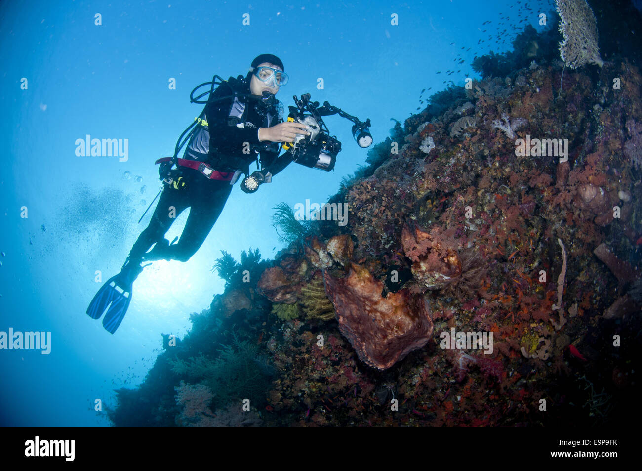 Scuba diver with underwater camera equipment, swimming over coral wall