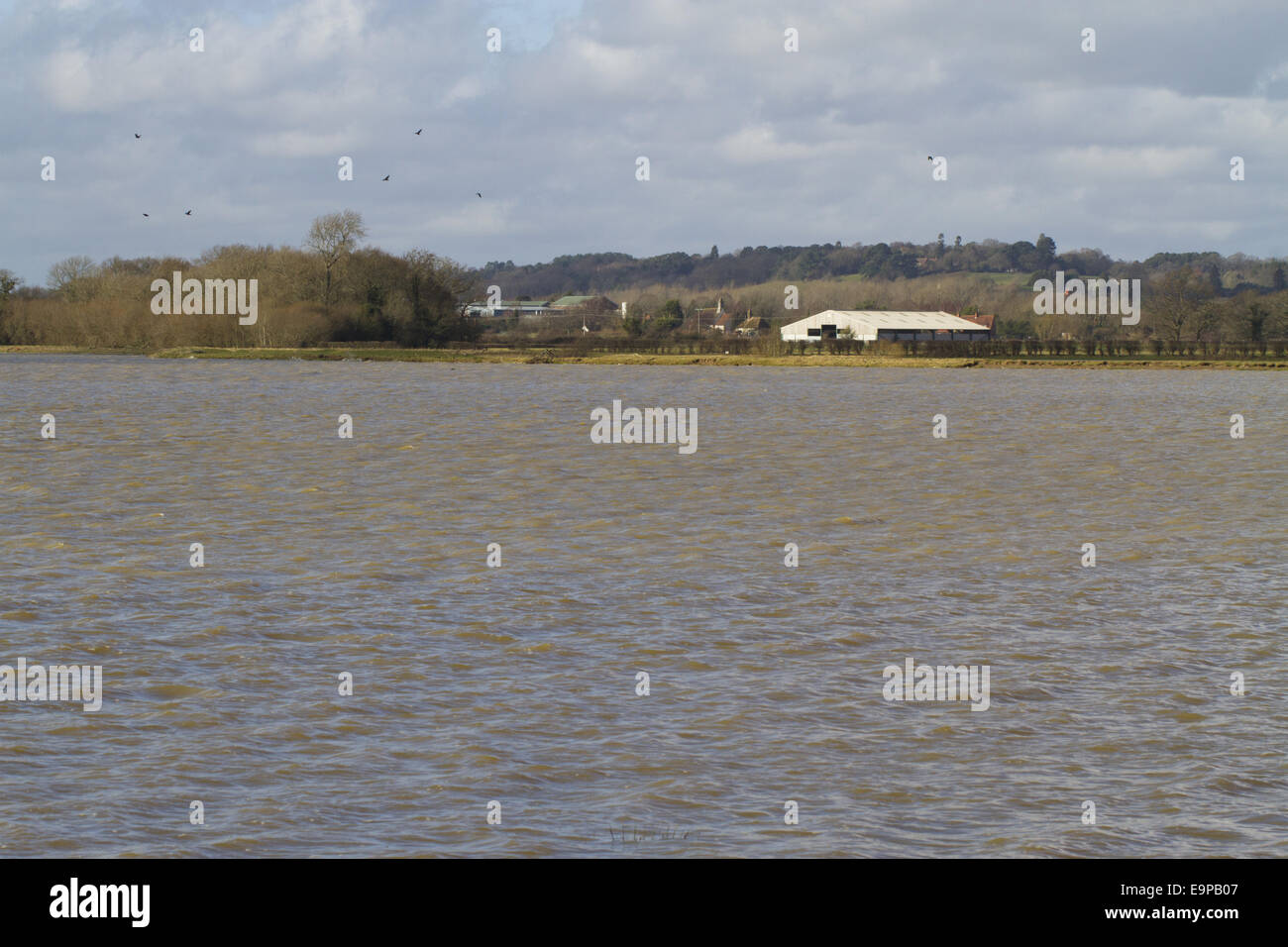 View across flooded watermeadow habitat, Pulborough Brooks RSPB Reserve, West Sussex, England, February Stock Photo