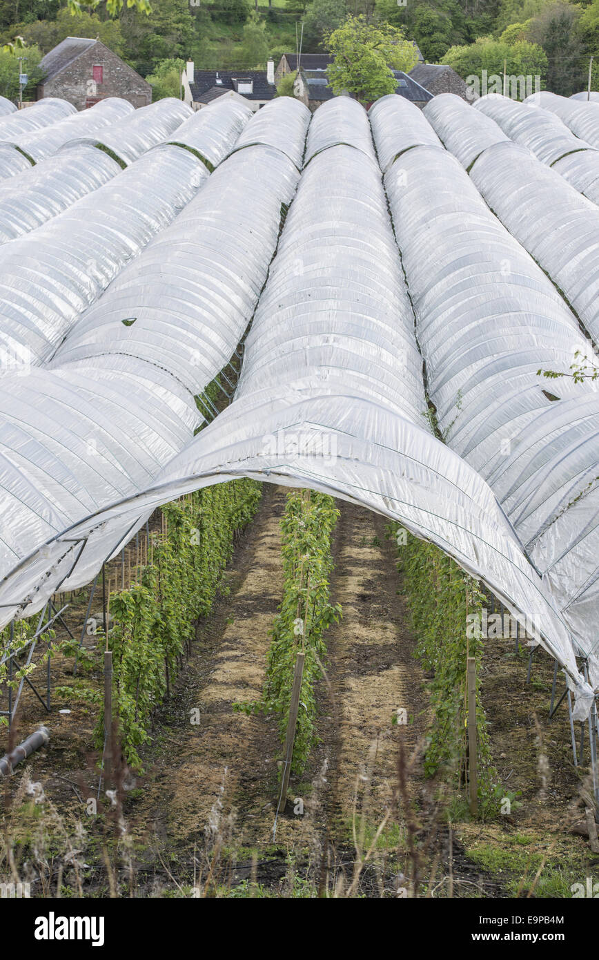 Blairgowrie farm hires stock photography and images Alamy