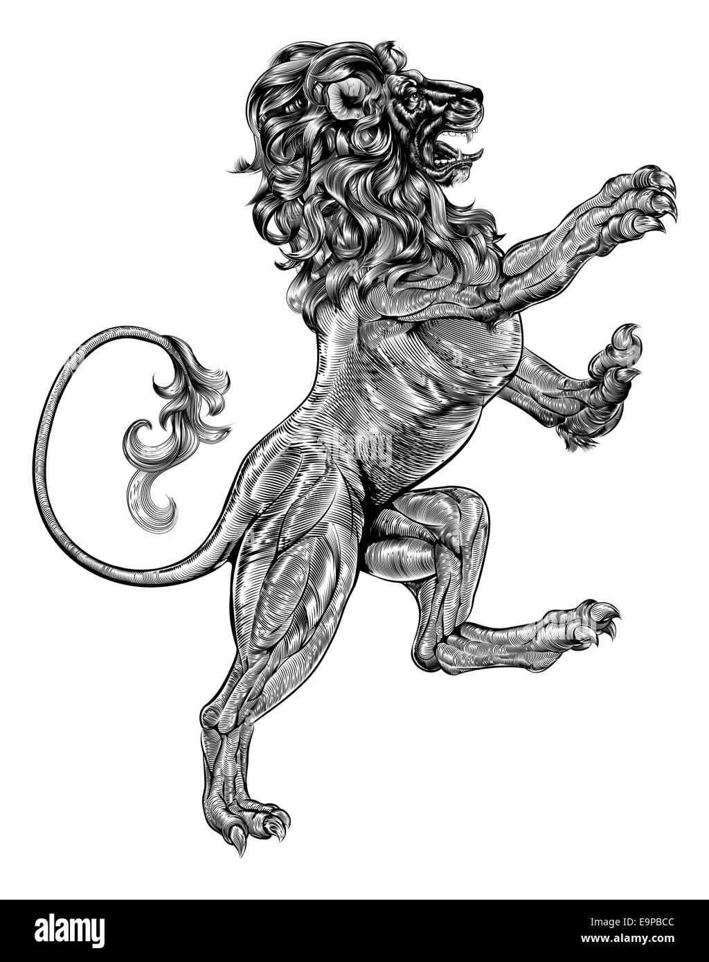 Rampant lion hires stock photography and images Alamy