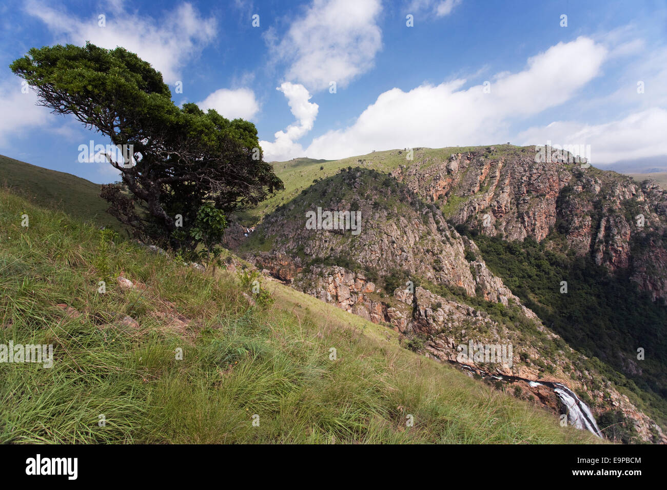 Malolotja Nature Reserve, Swaziland, Africa Stock Photo