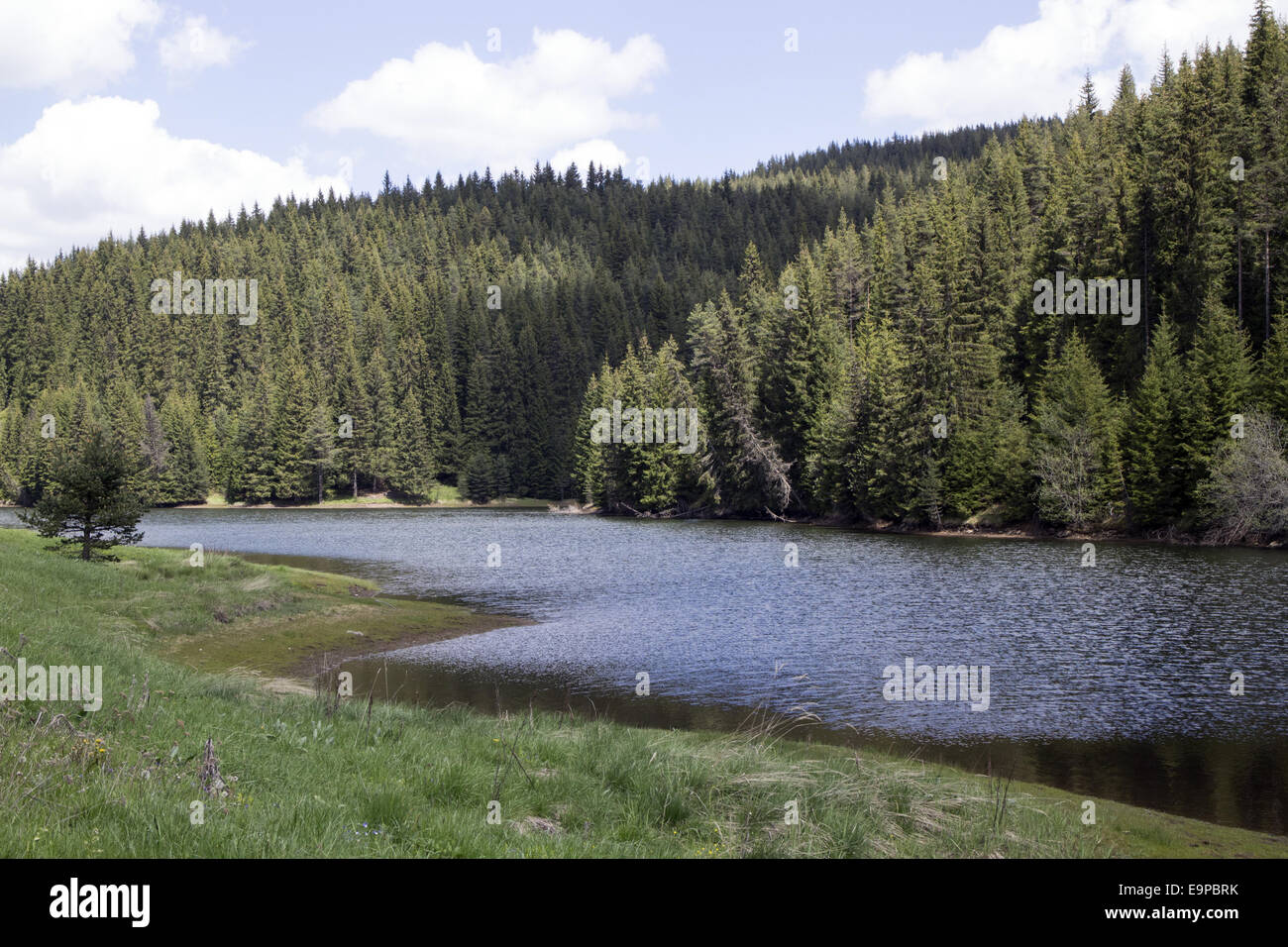 Beglika Park in the Rodopi mountain range Bulgaria Stock Photo - Alamy