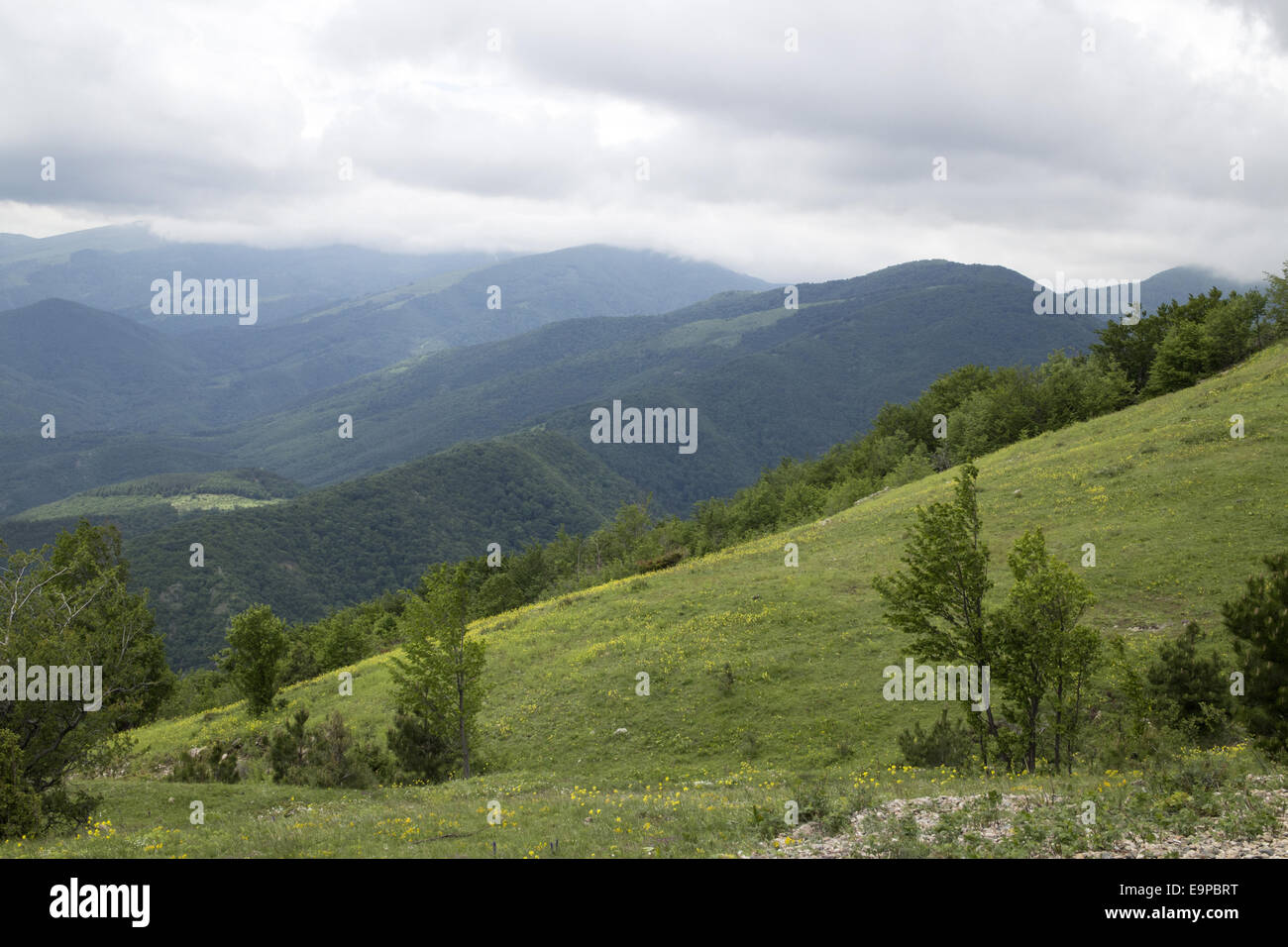 Central Balkan National Park - Planina Mountain range,Bulgaria. Stock Photo
