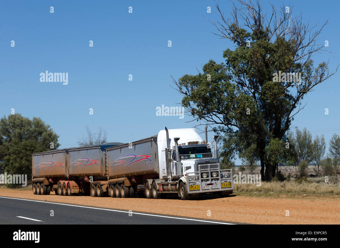 Road train, Near Charleville, southern Queensland, AustraliaRoad train on highway, Stock Photo