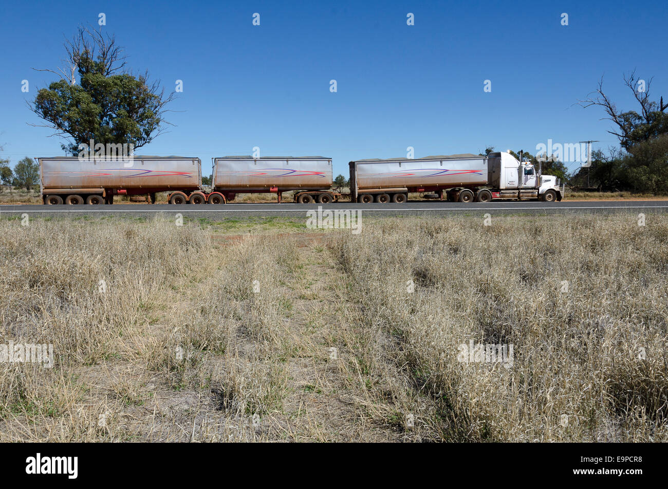 Road train, Near Charleville, southern Queensland, Australia Stock Photo