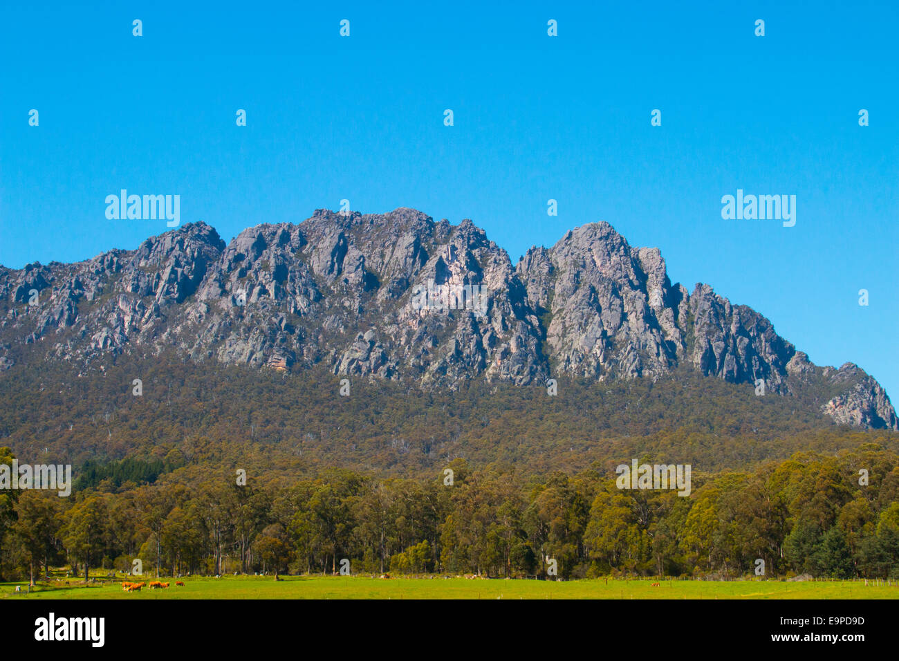 view of Mount Roland from Sheffield in north east Tasmania,Australia, stands at 1233m above sea level Stock Photo