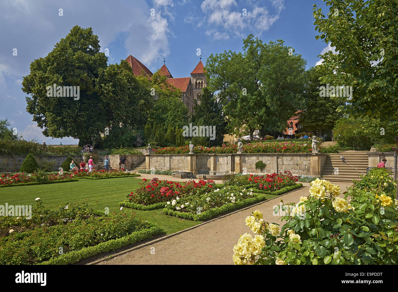 Rose garden at the Schlossberg with collegiate church, Quedlinburg, Germany Stock Photo