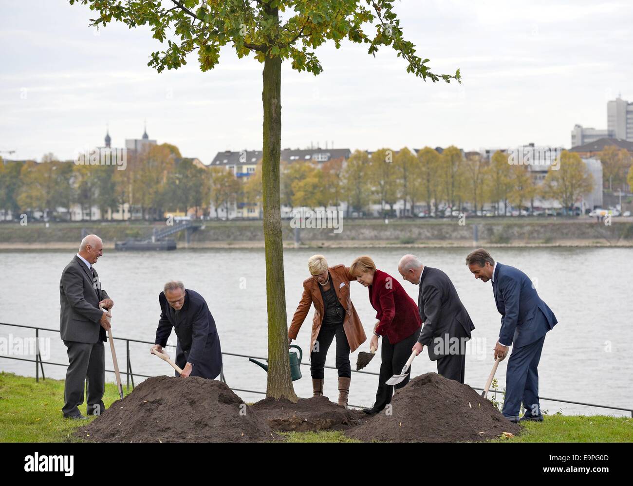 Bonn, Germany. 31st Oct, 2014. Idea generator for the reunification memorial Erner Erhardt (L-R), the businessman and tree donor Guenther Fielmann, chairwoman of the German Association for the Protection of Forests and Woodlands (SRW) of North Rhine-Westphalia Marie-Luise Fasse, German Chancellor Angela Merkel (CDU), president of SWD Wolfgang von Geldern and Bonn's mayor Juergen Nimptsch are pictured during the planting of the reunification memorial in Bonn, Germany, 31 October 2014. The memorial consists of an oak, a beech and a pine and shall be planted in many German municipalities. © dpa p Stock Photo