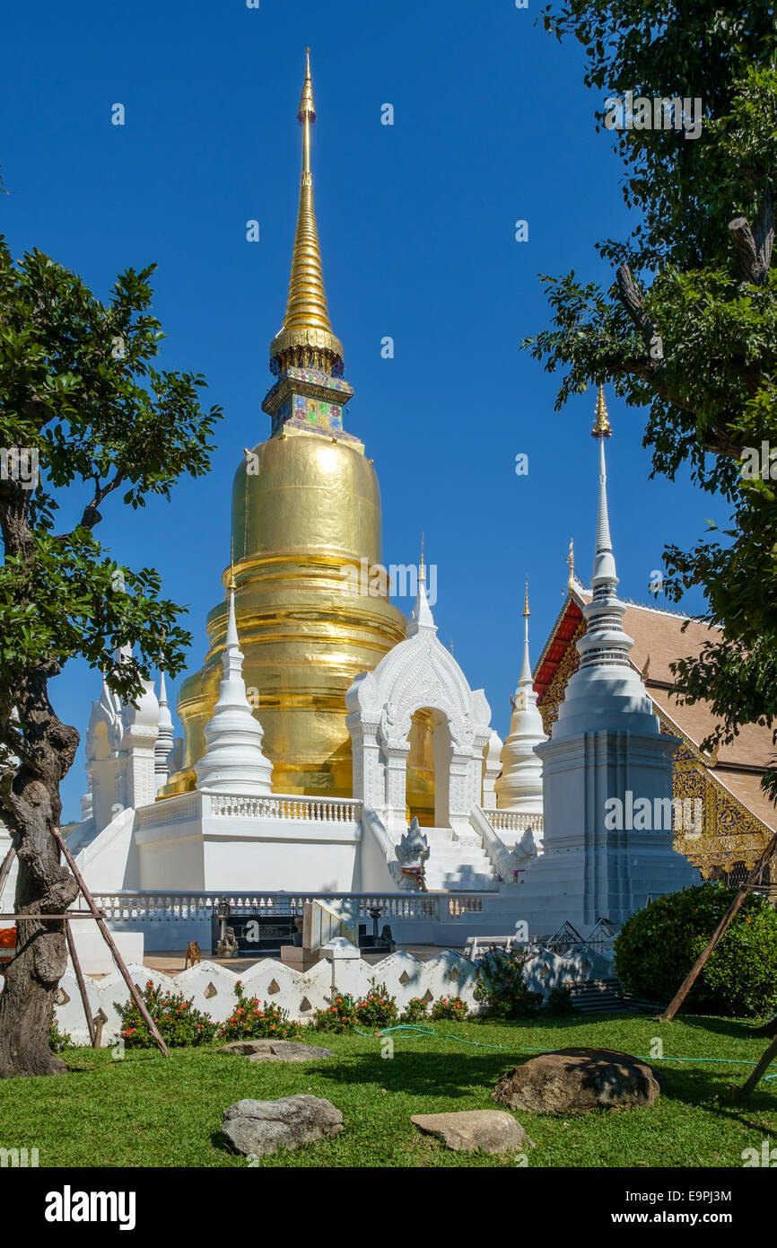 Golden Chedi at Wat Phra Singh temple complex, Chiang Mai, Thailand Stock Photo