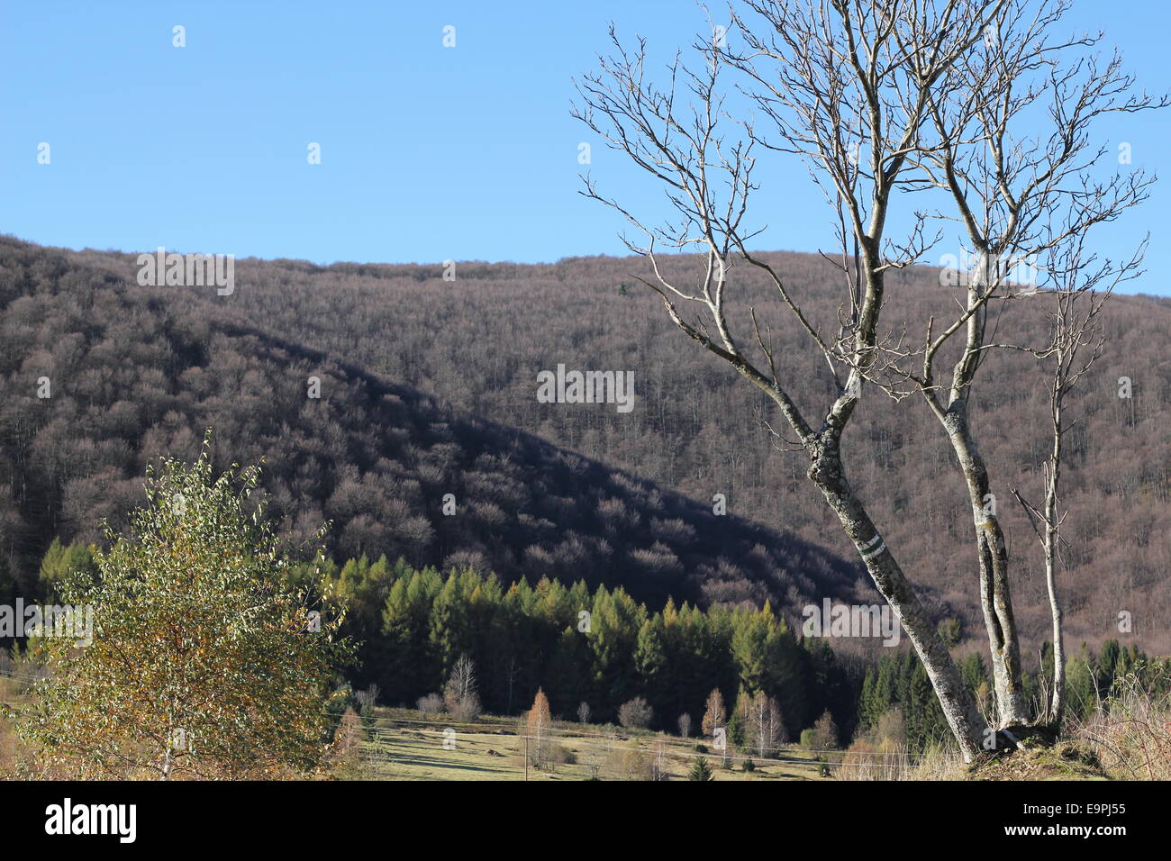 Beautiful sunny day is in mountain landscape Stock Photo