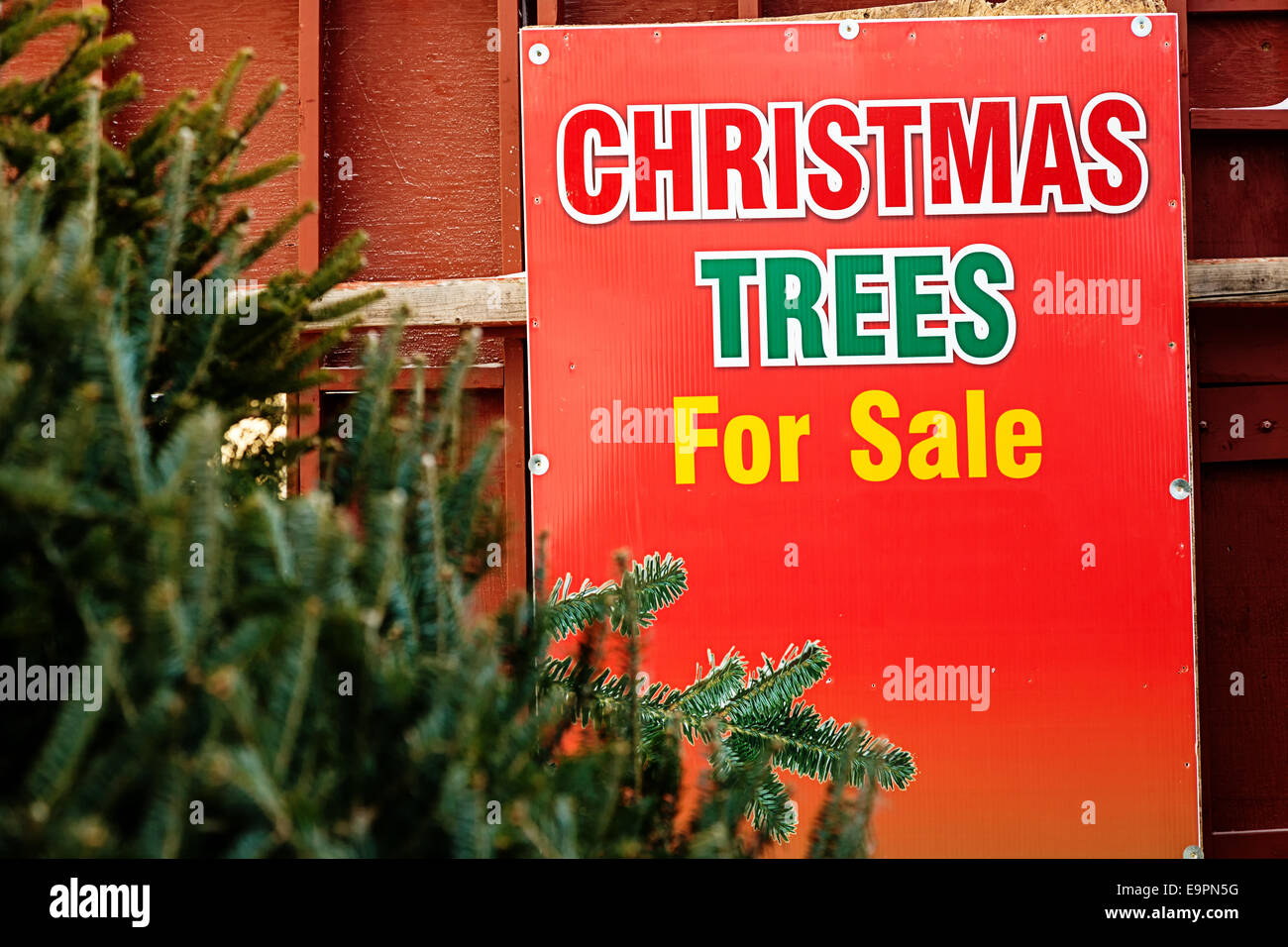 Balsam fir trees hires stock photography and images Alamy
