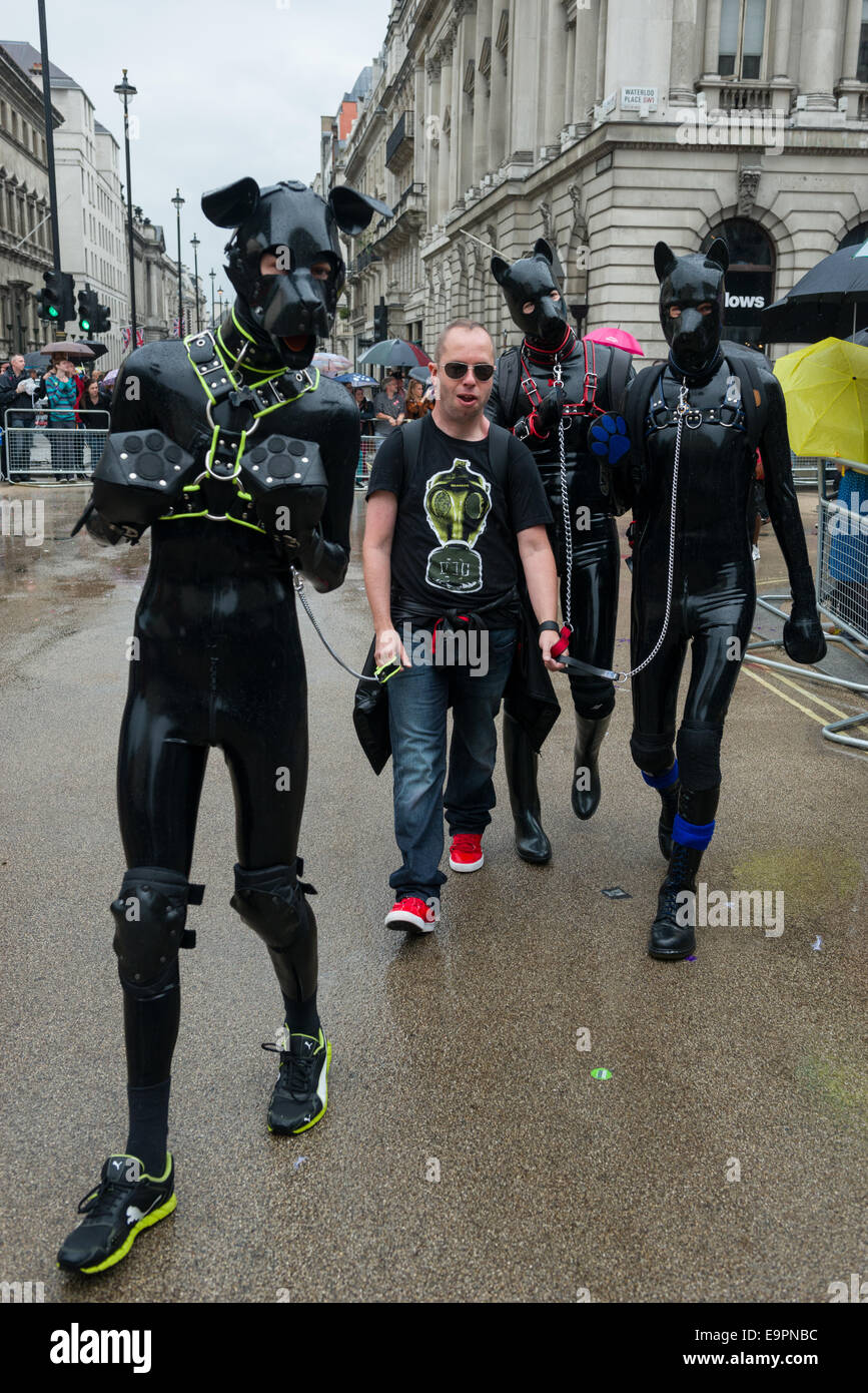 Man leading three companions dressed entirely in black latex dog suits, during the Pride in London parade 2014, London, England Stock Photo