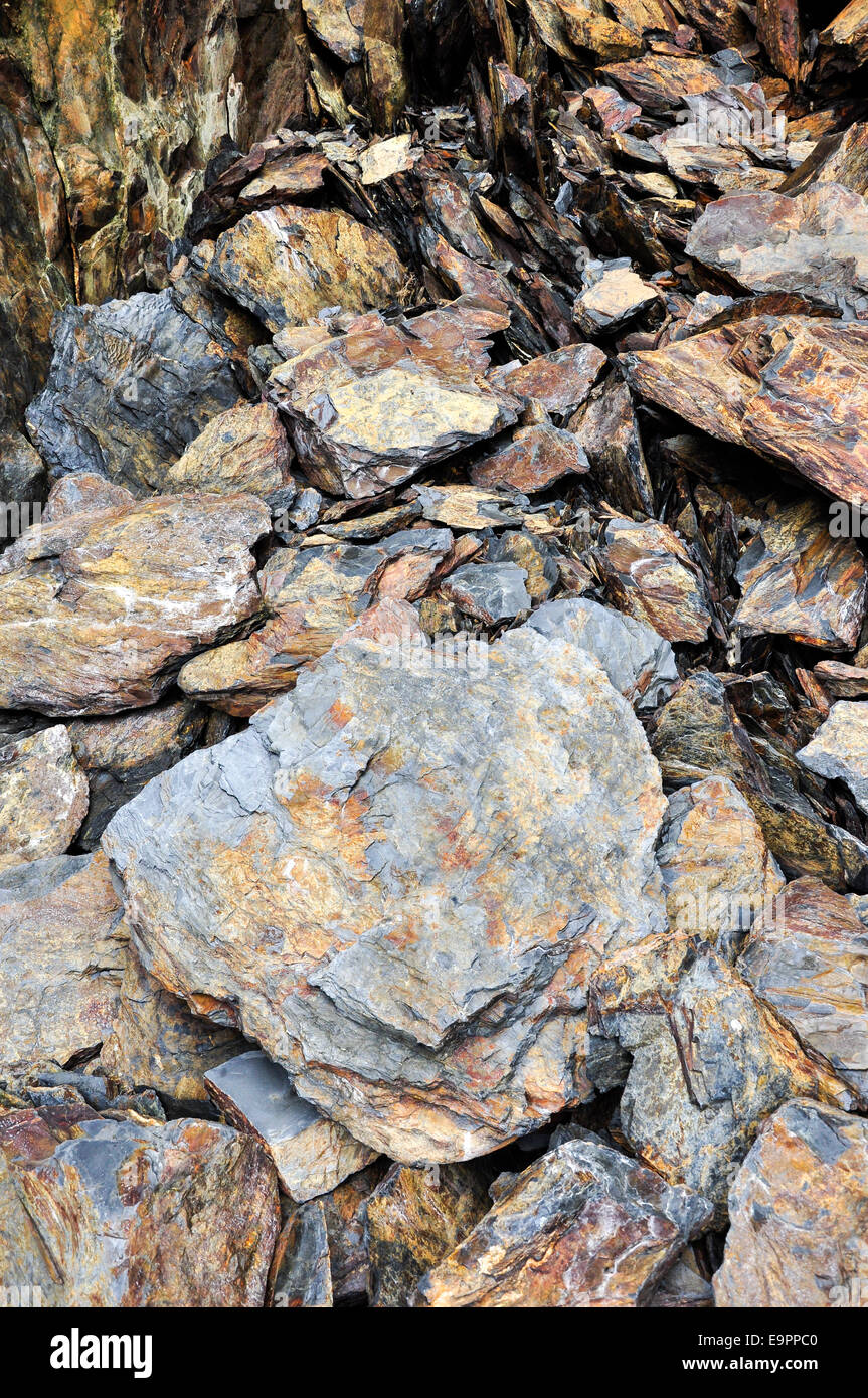 Colourful rocks at Trefin, Pembrokeshire, Wales showing interesting ...