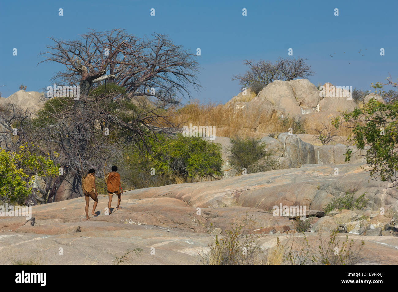 San bushman trackers walking on the ancient granite outcrop of Kubu Island (Lekhubu), Makgadikgadi Pan, Botswana Stock Photo