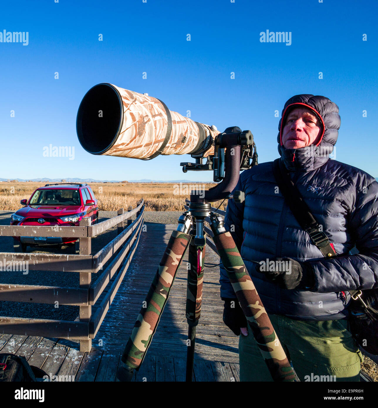 Professional photographer with long telephoto lens capturing wildlife