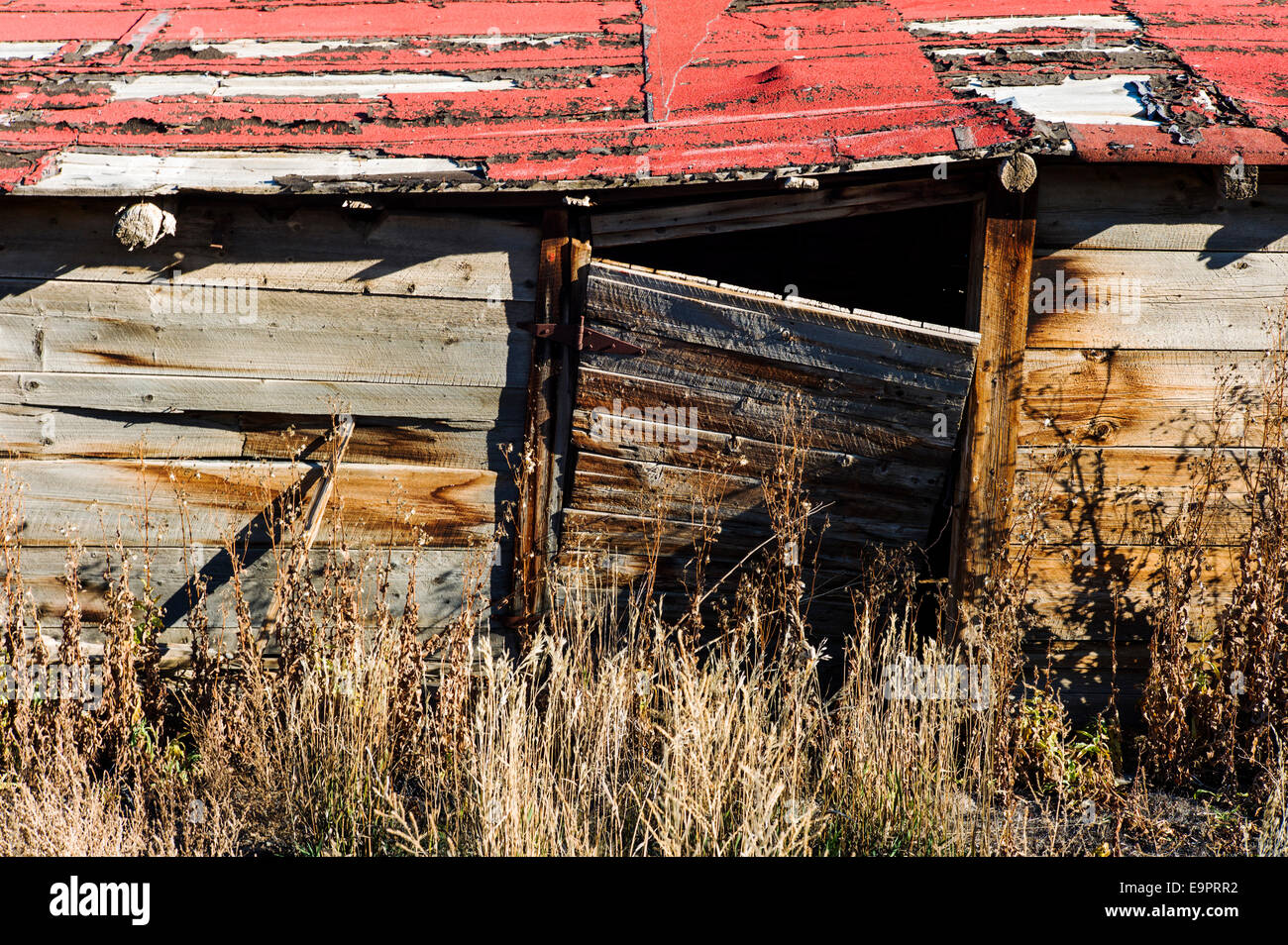 Abandoned ranch building on Monte Vista National Wildlife Refuge, Central Colorado, USA Stock Photo