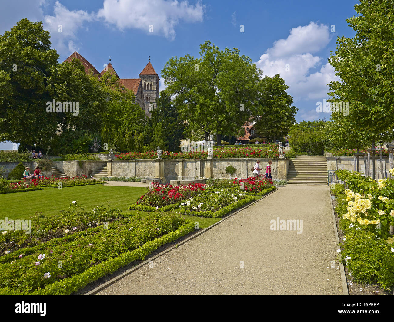 Rose garden at the Schlossberg with collegiate church, Quedlinburg, Germany Stock Photo