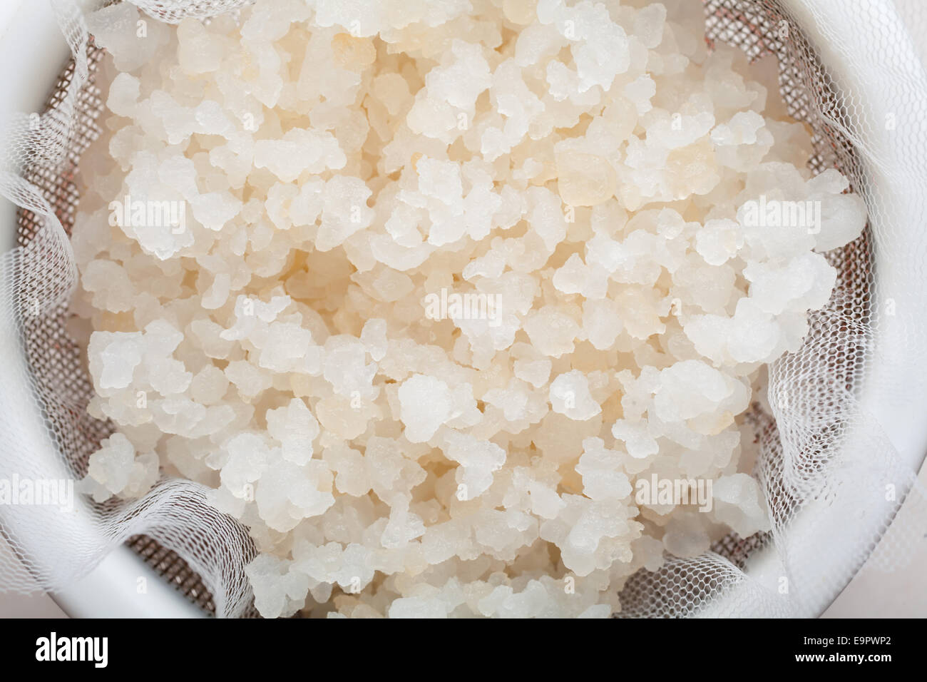 Water kefir grains into a plastic strainer Stock Photo - Alamy