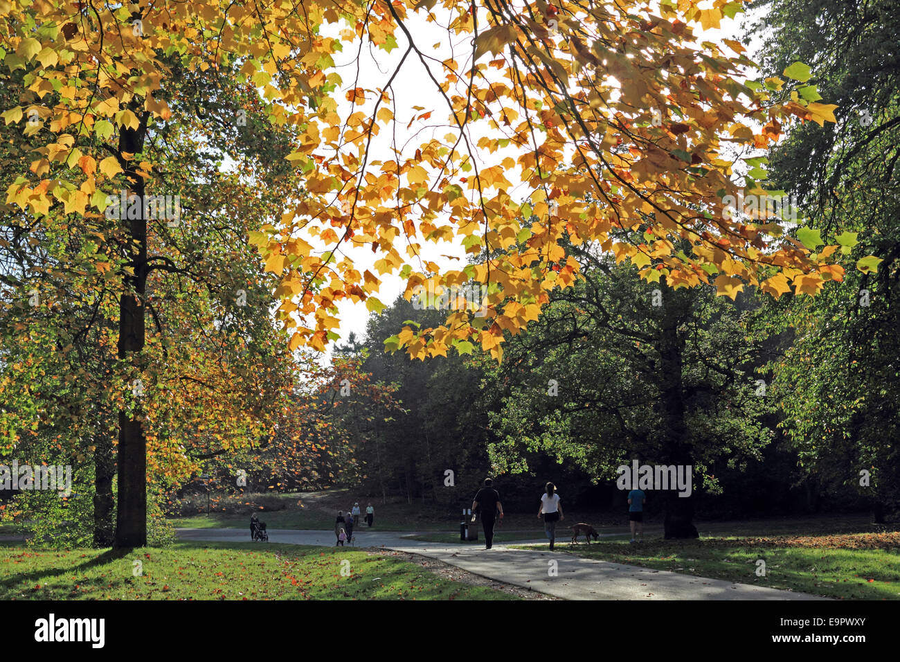 Virginia Water, Englefield Green, Windsor, Berkshire, UK. 31st October