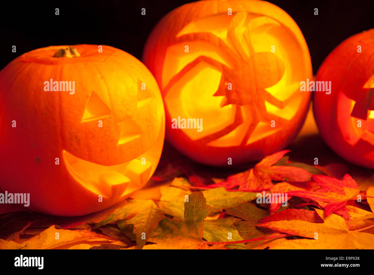three pumpkins on a pile of fall leaves Stock Photo - Alamy