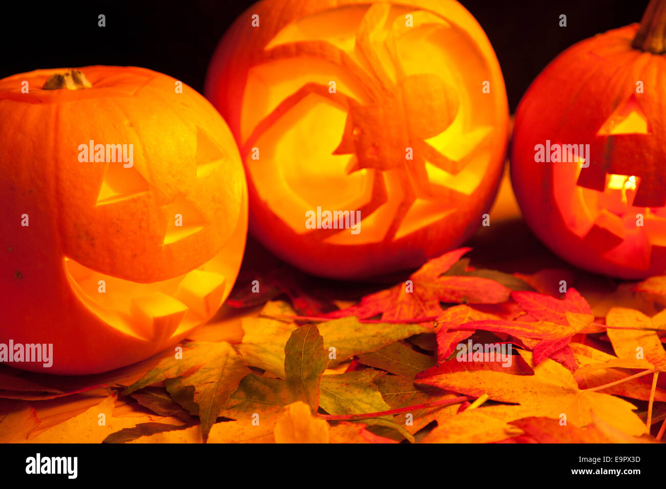 cute carved pumpkins for halloween on the leaves Stock Photo - Alamy