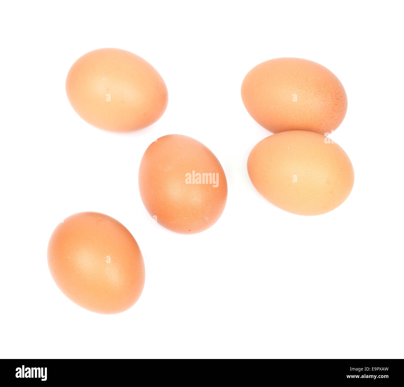brown egg on a white background Stock Photo - Alamy