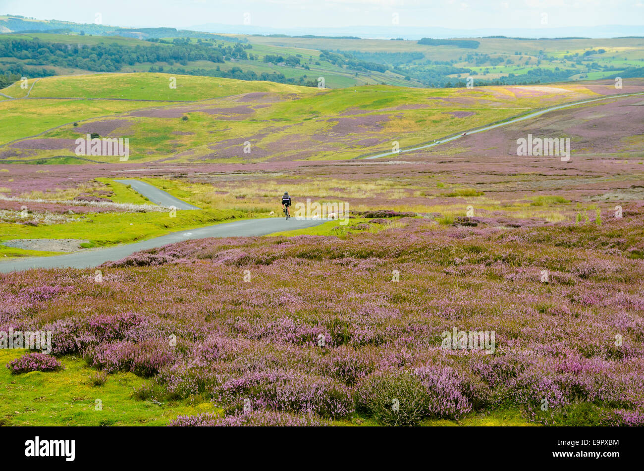 Yorkshire dales hi-res stock photography and images - Alamy