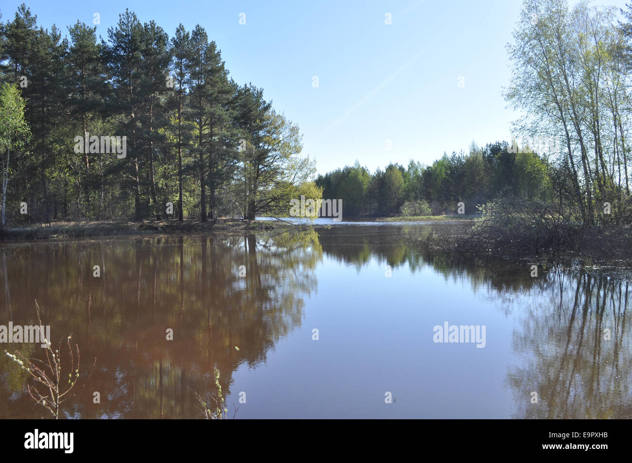 Nature of the Ryazan Territory Nature of the Ryazan Territory