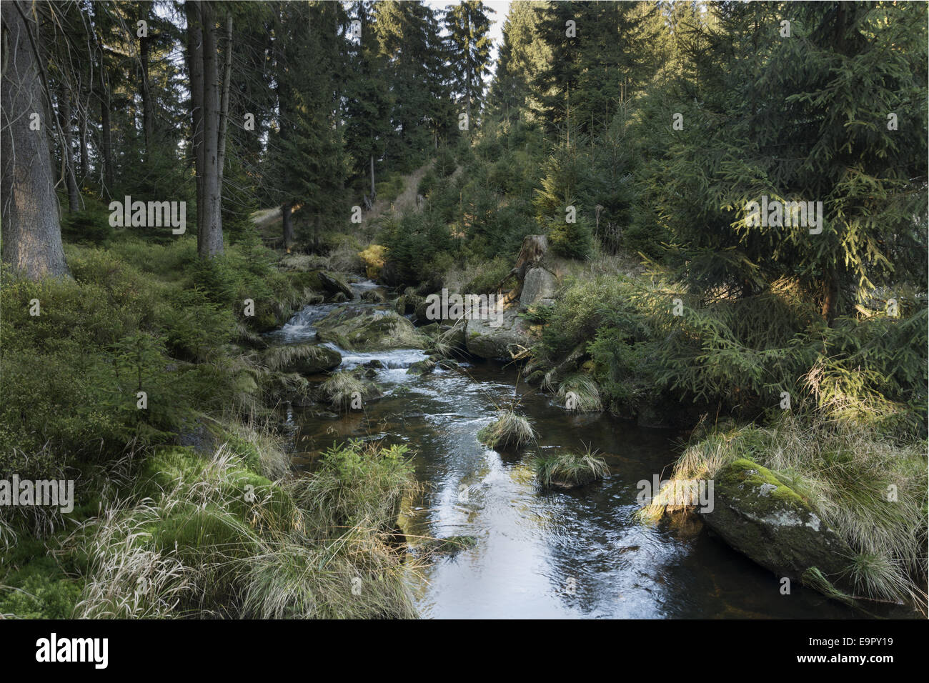 Blatny stream - Jizera Mountains Stock Photo