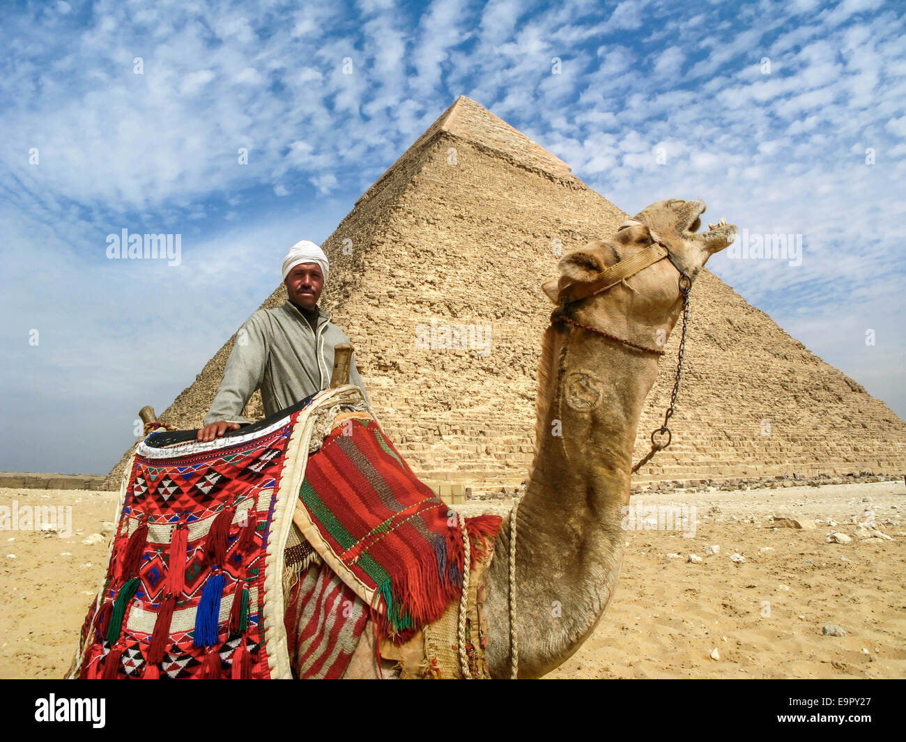 Portrait of a camel man with his camel in front of the Pyramid of Khafre on the Giza Plateau in Cairo, Egypt. Stock Photo
