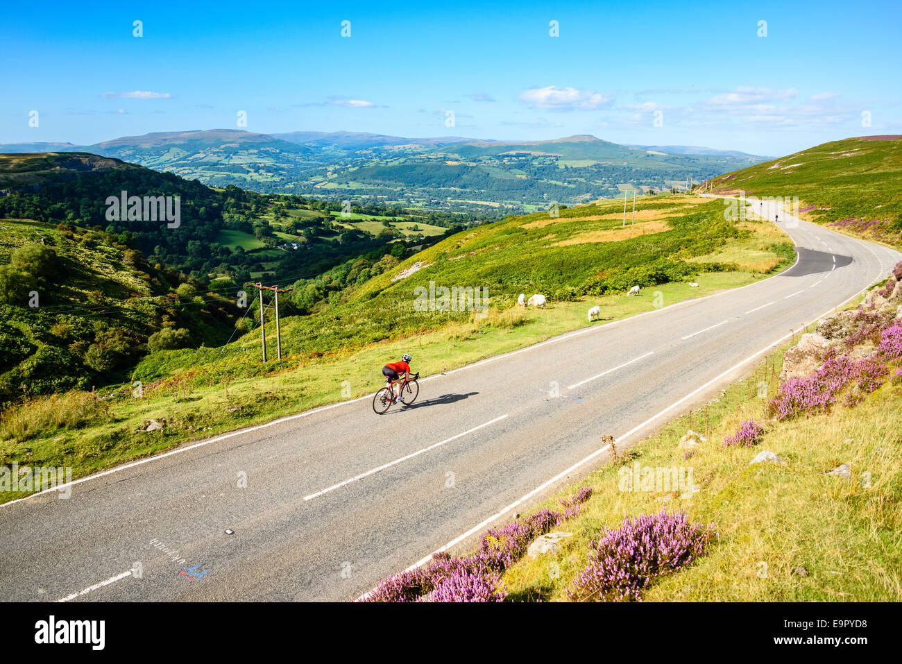 Female cyclist descending the hill known as The Tumble on Blorenge near Abergavenny in the Brecon Beacons National Park Wales Stock Photo