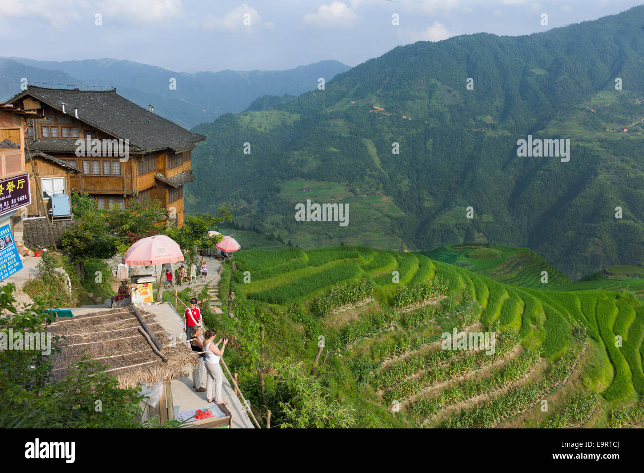 Longsheng Rice Terrace, Dragon's Backbone, Longji, China. Stock Photo