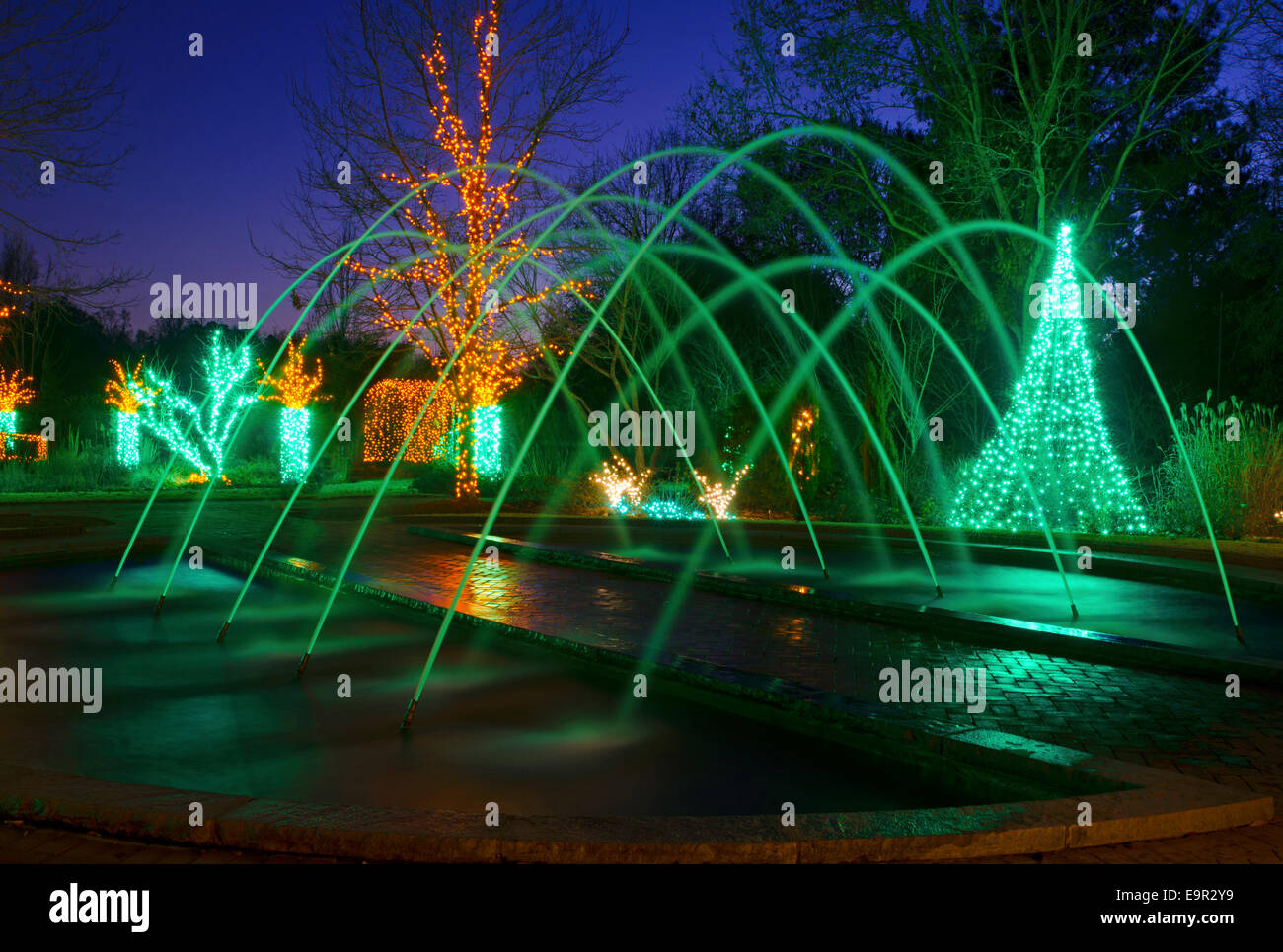 Christmas Lights and Fountain beautifully decorated for the Holiday