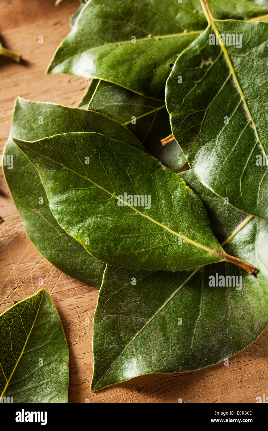 Bay leaves as herb hires stock photography and images Alamy