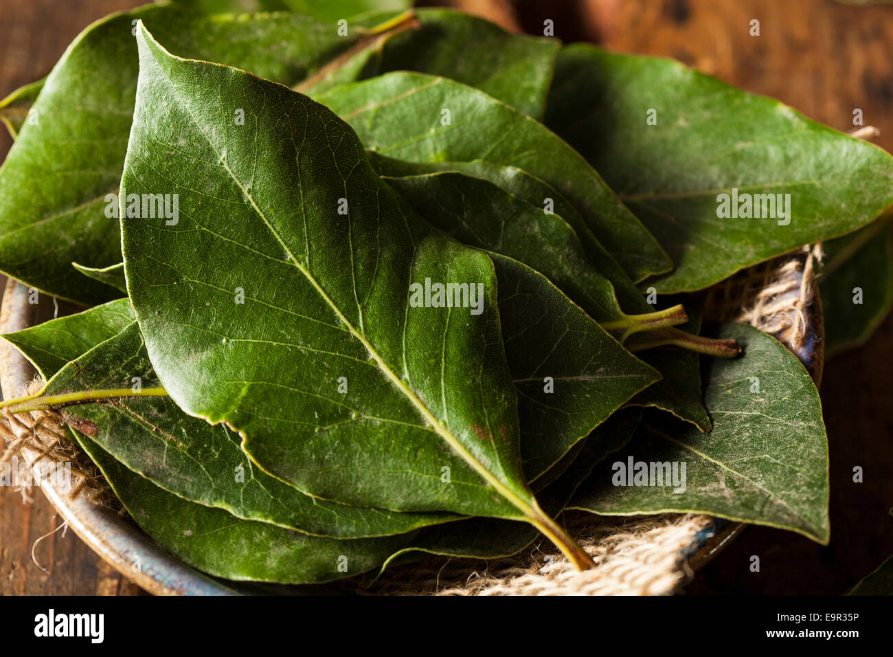 Green Organic Bay Leaves Ready to Use Stock Photo Alamy