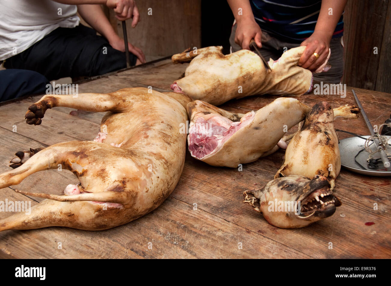Butchering dog meat, Shidong, Guizhou Province, China Stock Photo