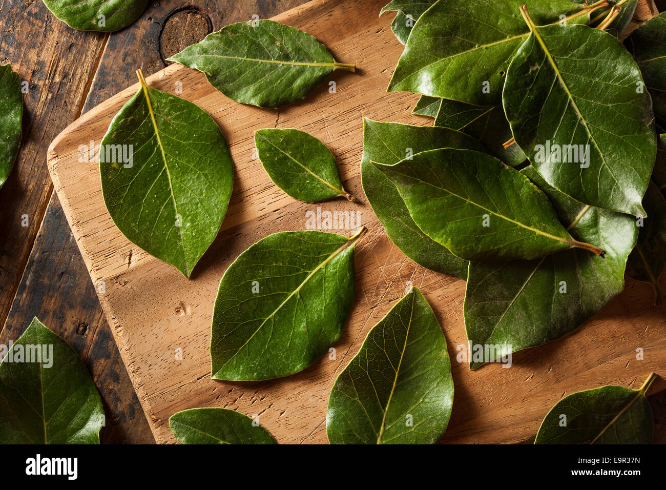 Bay leaves as herb hires stock photography and images Alamy