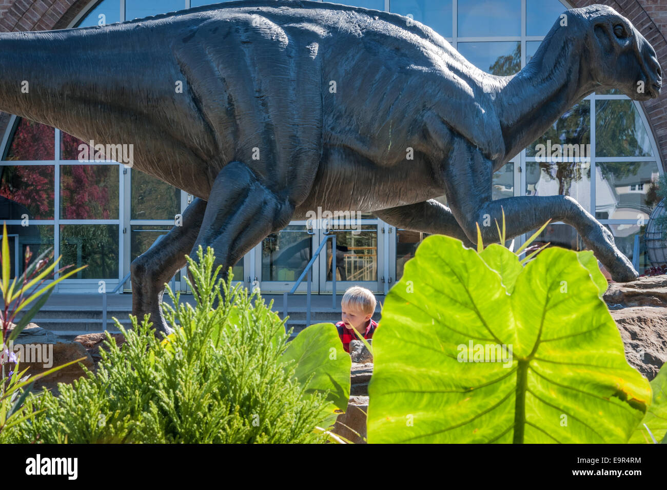 Small child beneath a large dinosaur at the entrance of Atlanta's Fernbank Museum of Natural History. (USA) Stock Photo
