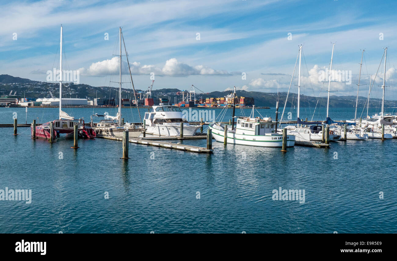 Yachts moored at Chaffers Marina, Clyde Quay Wharf, Wellington Harbour, New Zealand Stock Photo