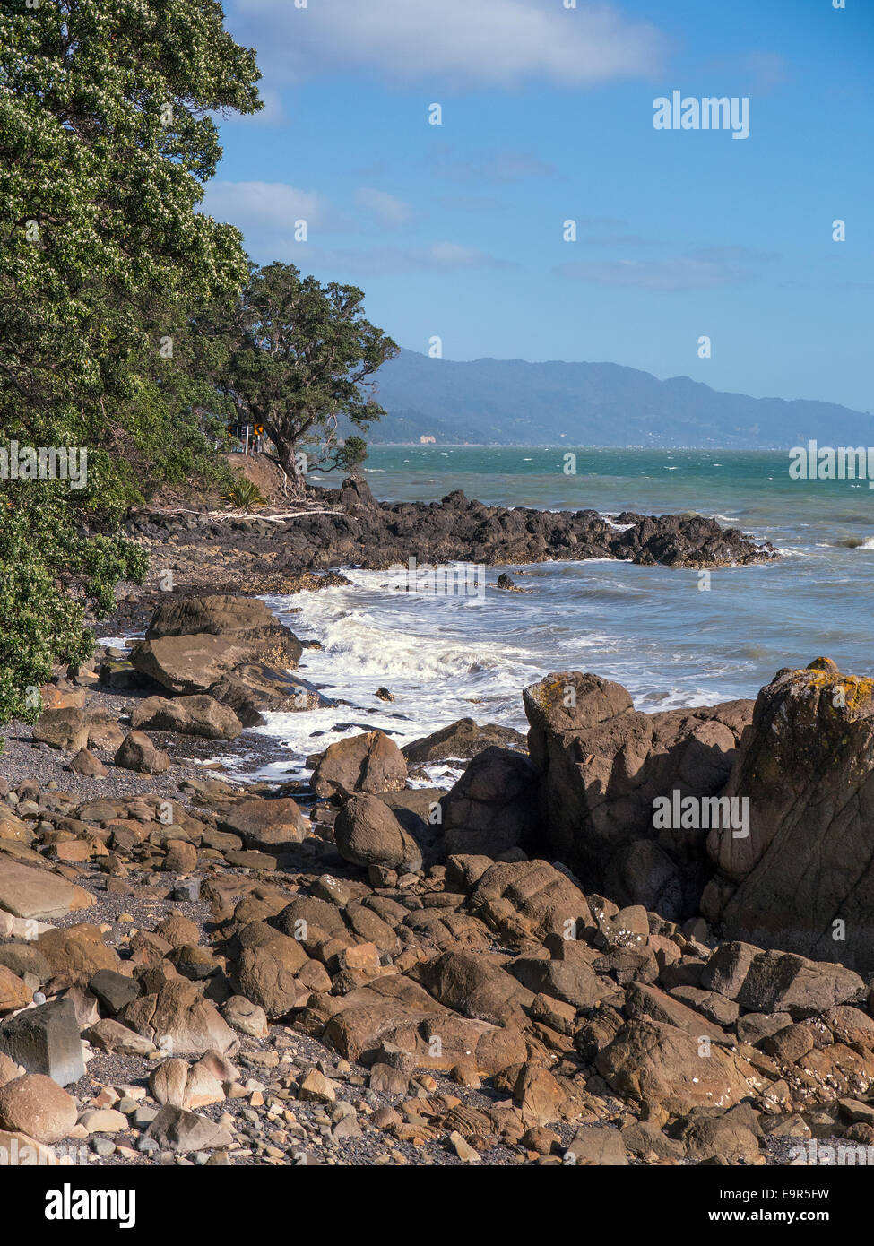 New Zealand coastline near Amodeo Bay, Coromandel Peninsular, north island New Zealand Stock Photo